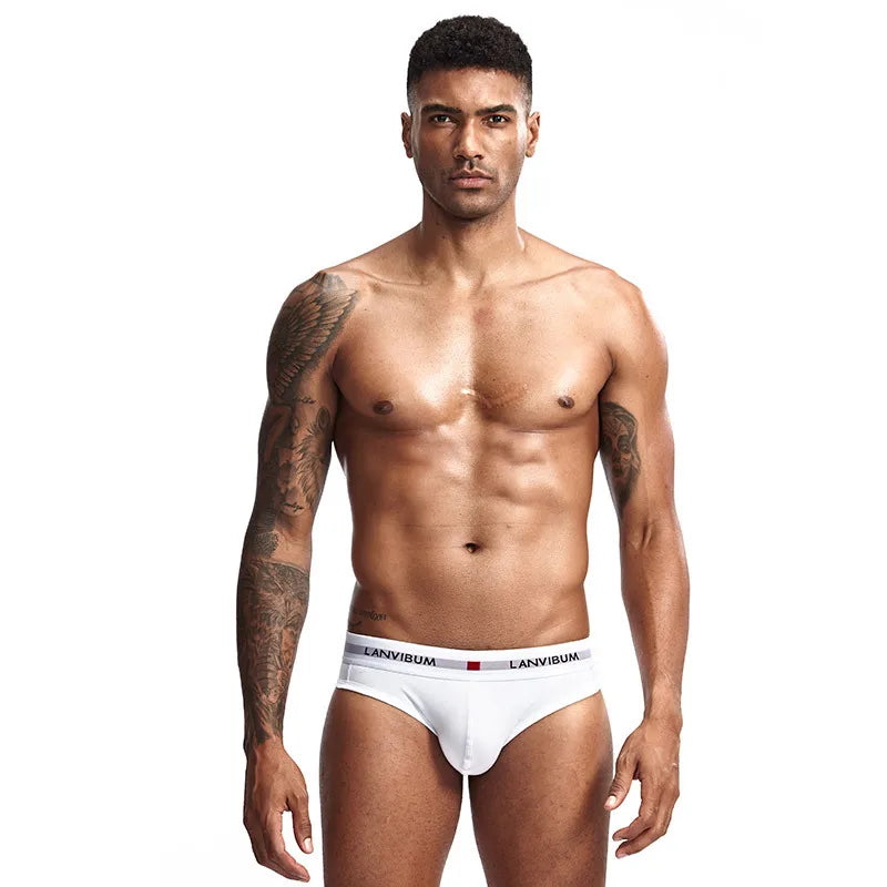 3pcs LORIEN CREST Cotton Low Waist Briefs