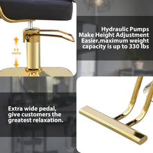 360 Degree Rotating Barber Chair