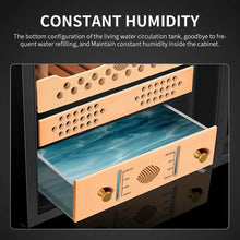 Intelligent Compressor Constant Temperature and Humidity Control Humidor