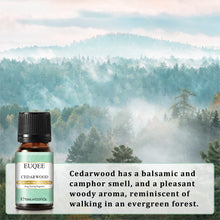 EUQEE 10ml Premium Fragrance Oil