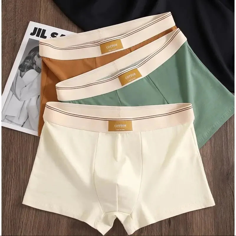 3Pcs Comfortable Breathable Cotton Boxer Shorts