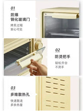 Small Electric Oven with Integrated Design