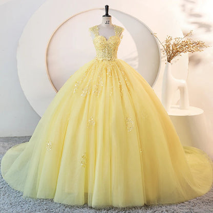 Long Train  Quinceanera Dress