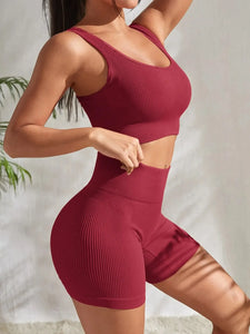Seamless Ribbed 2Pces Crop Tank and High Waist Shorts