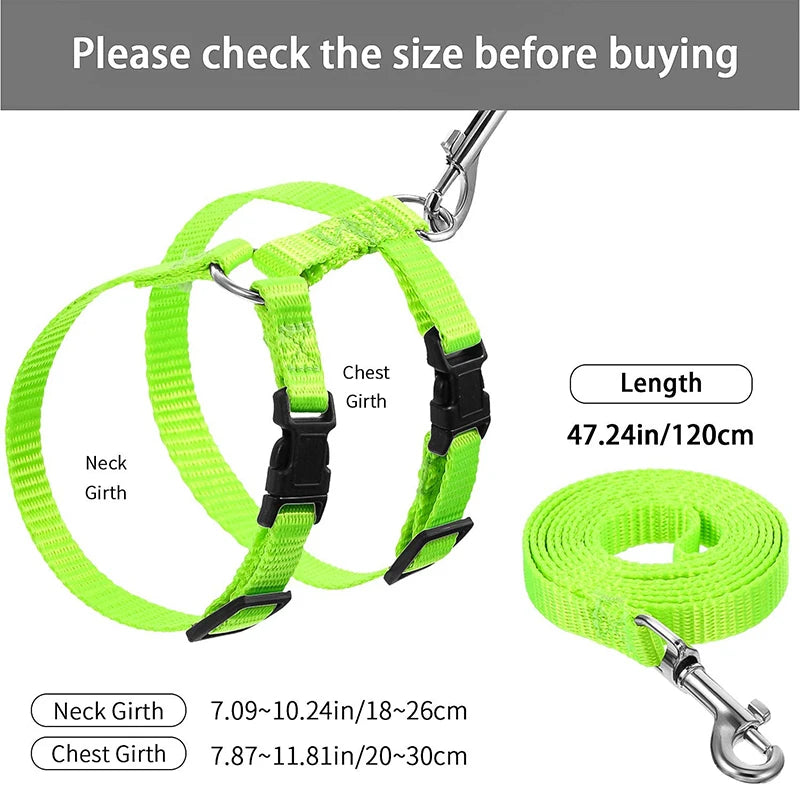 Rabbit/Cat Harness and Leash Set