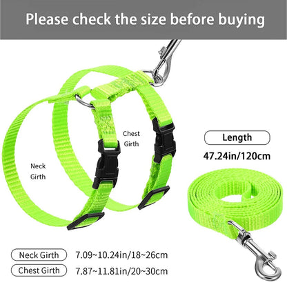 Rabbit/Cat Harness and Leash Set