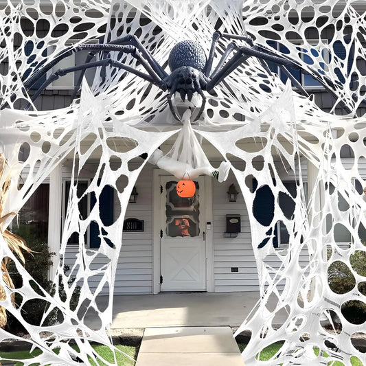 Giant Stretchy Spider Web