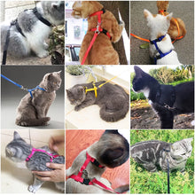 Rabbit/Cat Harness and Leash Set