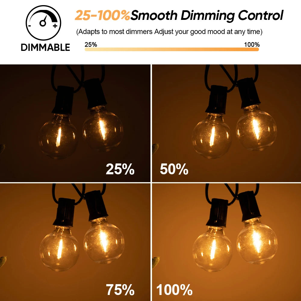 G40 Outdoor Solar String Lights with Remote & Shatterproof Bulbs