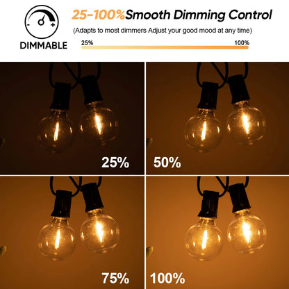 G40 Outdoor Solar String Lights with Remote & Shatterproof Bulbs