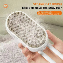 Pet Steam Cat Comb Electric Sprayer for Massage