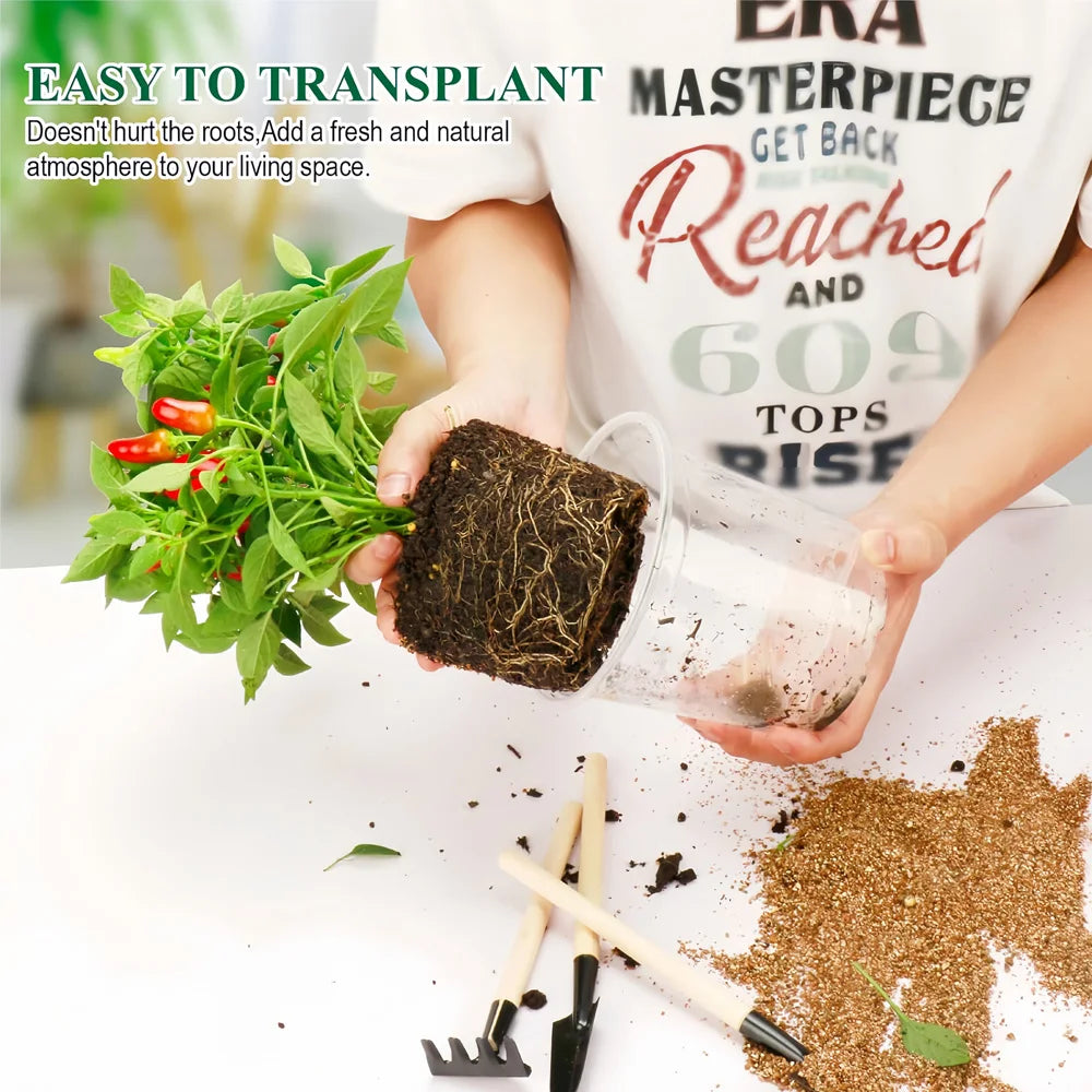 30-Pack Clear Plastic Nursery Pots with Drainage Holes