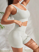Seamless Ribbed 2Pces Crop Tank and High Waist Shorts