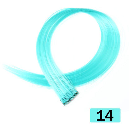 HAIRSTAR 22-Inch Synthetic Colored Clip-In Hair Extension