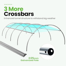 Premium 1Large Walk-in Heavy Duty Galvanized Steel Frame 5x6.6x6.6FT Greenhouse