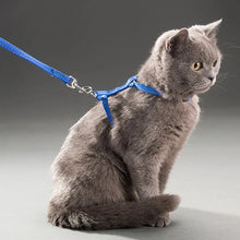 Rabbit/Cat Harness and Leash Set