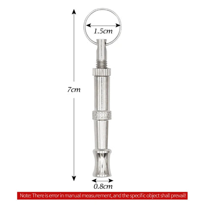 Stainless Steel Training Whistle