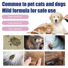 Pet Flea Removing Spray for Cats and Dogs