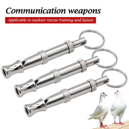 Stainless Steel Training Whistle