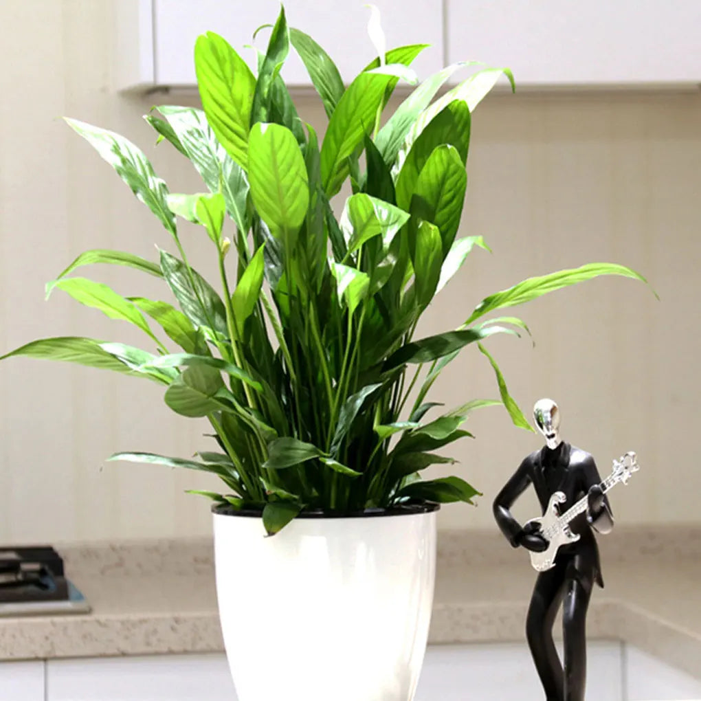 Self-Watering White Plastic Planter Pot (13x13cm)