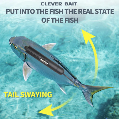 Akeo Electronic Auto-Swimming Fishing Lure – USB Rechargeable Smart Bait