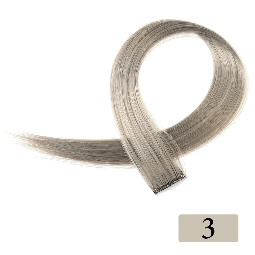 HAIRSTAR 22-Inch Synthetic Colored Clip-In Hair Extension