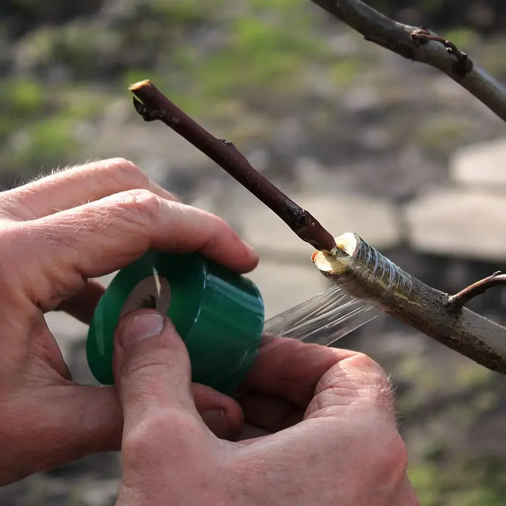 PE Stretchable Self-Adhesive Garden Grafting Tape Roll