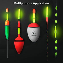 Night Fishing Float Rod Lights