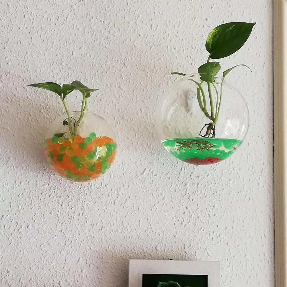 Wall-Hanging Acrylic Plexiglass Fish Bowl Aquarium