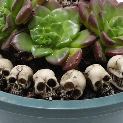 20-Piece Mini Miniature Gothic Skull Sculptures Set
