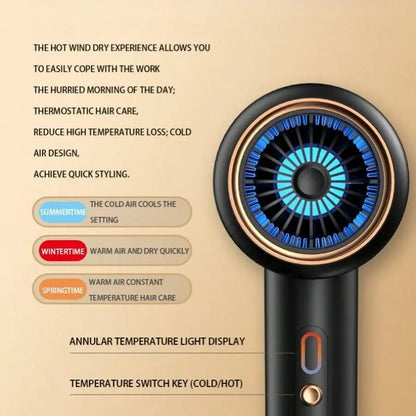 Professional 1800W High-Speed Negative Ion Hair Dryer