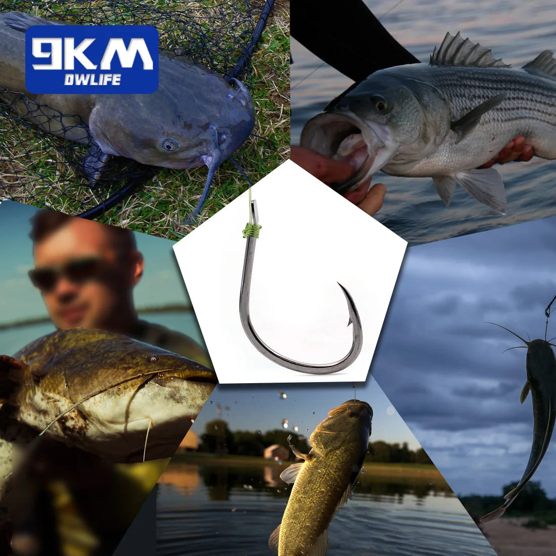 Live Bait Circle Barb Hooks