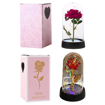 Artificial Eternal Rose LED Light in Glass Cover