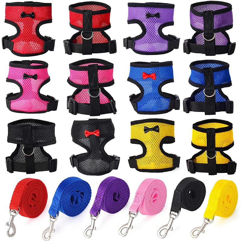 Adjustable Chicken Harness & Leash