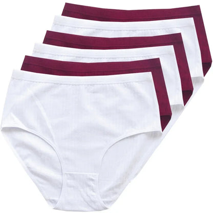 Chen Asta Women's Cotton High-Waist Briefs (6-Pack) - Breathable Plus Size Panties