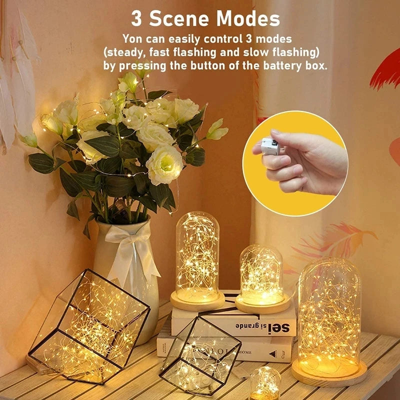 LED Fairy String Lights with Button Battery
