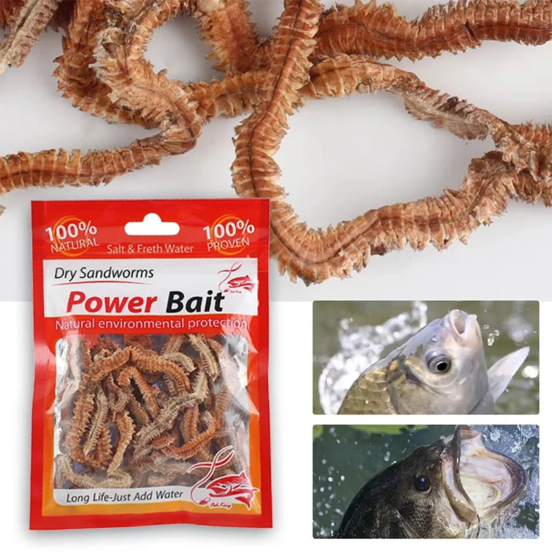 Dry Lugworm Sandworms Lifelike Smelling Fishing Worms