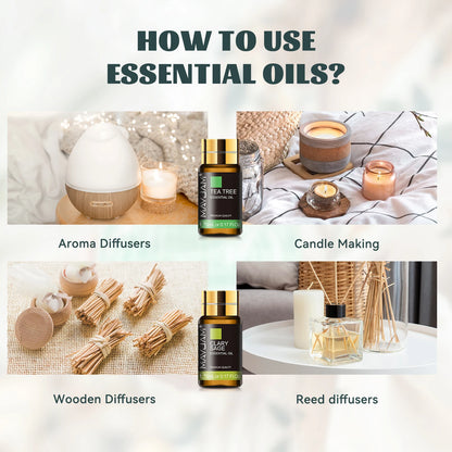 MAYJAM Essential Oils Kit