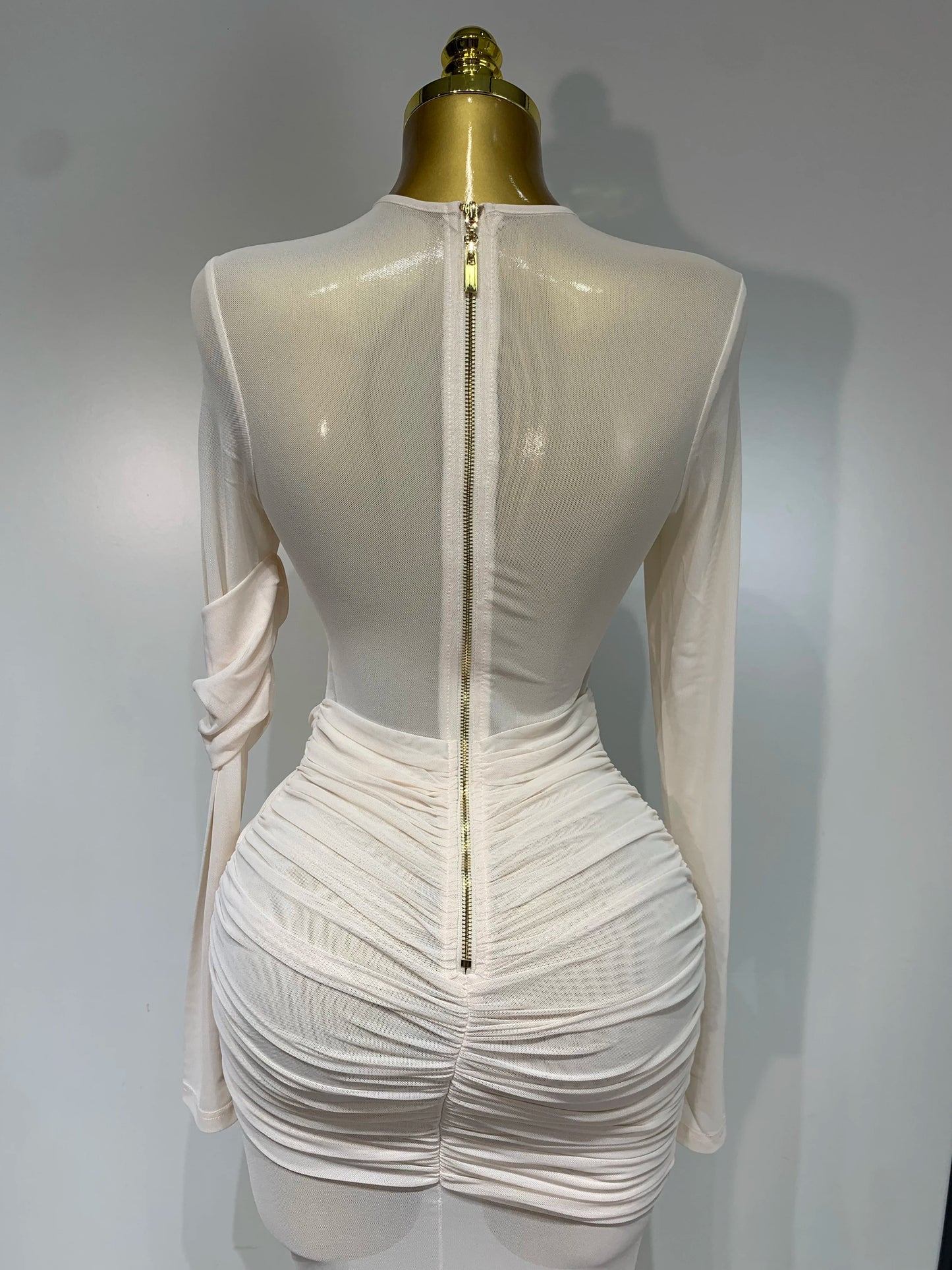 Women's Ruched Mesh Long Sleeve Bodycon Evening Dress