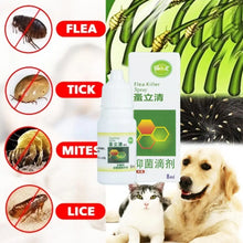 120ML Safe Ingredients Ticks Flea Spray