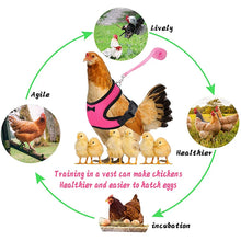 Adjustable Chicken Harness & Leash