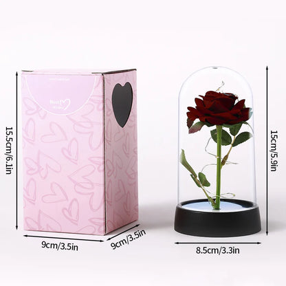Artificial Eternal Rose LED Light in Glass Cover