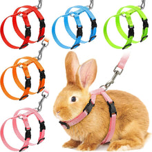 Rabbit/Cat Harness and Leash Set