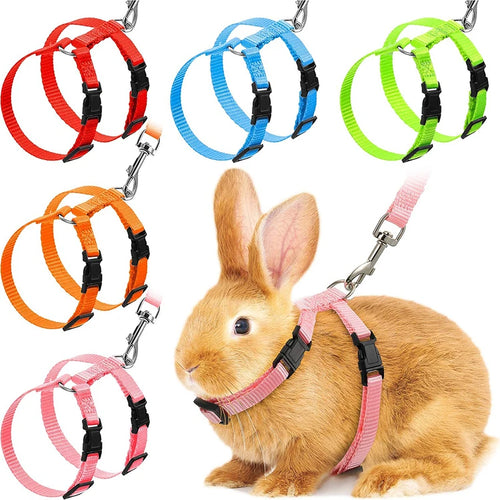 Rabbit/Cat Harness and Leash Set