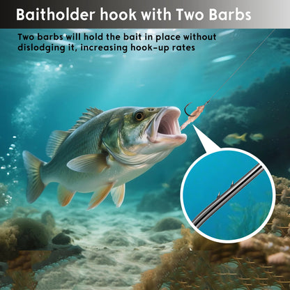 Offset Circle Hook