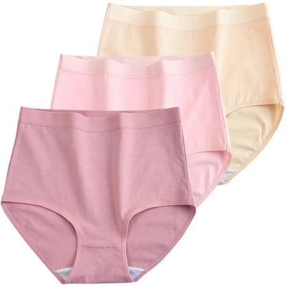 3pcs Cotton High Waist Briefs
