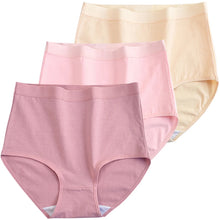 3pcs Cotton High Waist Briefs