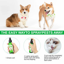 100ml Natural Pet Care Topical Flea & Tick Spray