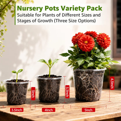 30-Pack Clear Plastic Nursery Pots with Drainage Holes