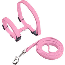 Rabbit/Cat Harness and Leash Set